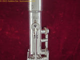 H. Bettoney Clarinet H. Bettoney Silva-Bet Professional Metal Clarinet
