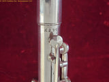 H.N. White Clarinet H.N. White Stencil All American Metal Clarinet Circa 1930s. Photo included!
