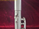 HN White Gladiator Clarinet H.N. White Gladiator Metal Clarinet Circa 1940s